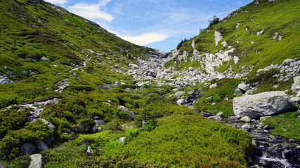 Fototapeta premium Beautiful landscape of Norway.