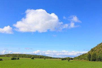 Fototapeta premium Green field and blue sky in farmland Nordland county