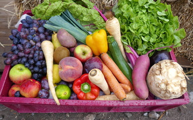 Frisches, biologisches Obst und Gemüse auf dem Bauernmarkt
