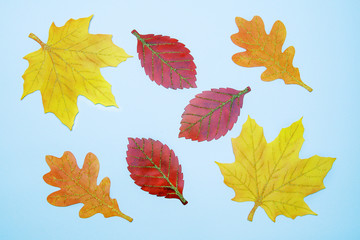 autumn leaves with glitter on a blue background
