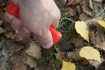 A mans hand with knife stick in ground.