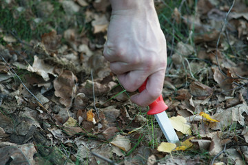 A mans hand with knife stick in ground.