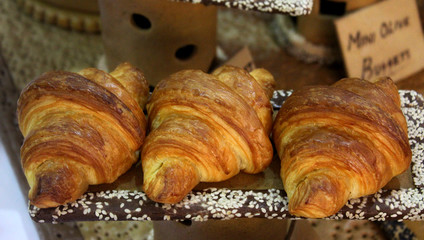 classic butter croissant
