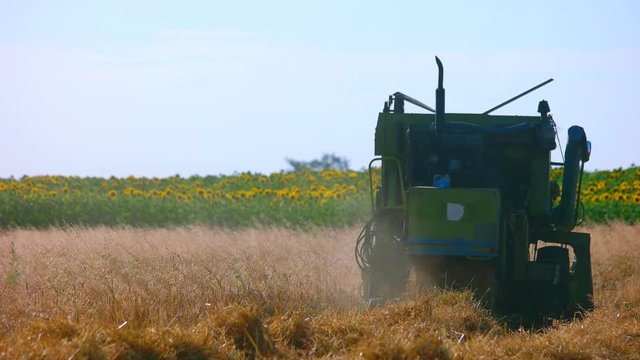 Back view of modern combine harvester. Crop field, blue sky background.