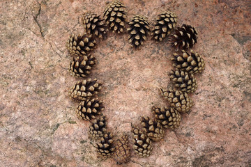 Heart shape figure.