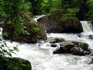 Mountain stream among the stones and forest