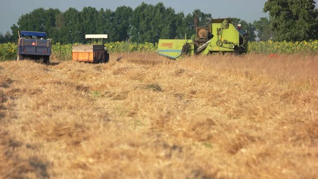Agricultural machinery on the field. Wide straw yellow field.