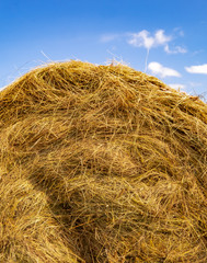 Fototapeta premium Bales of Hay 26