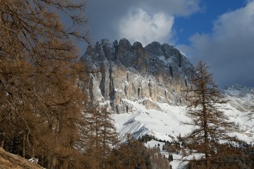 rosengarten