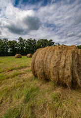 Bales of Hay 34