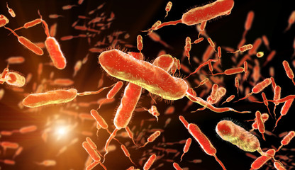 Vibrio cholerae, Gram-negative bacteria. 3D illustration of bacteria with flagella - obrazy, fototapety, plakaty