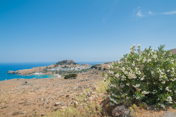 View framed with flowers white Nerium Oleander in blossom. Distant view at Lindos Town and Castle with ancient ruins of the Acropolis on sunny warm day. Island of Rhodes, Greece.