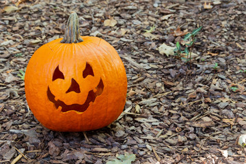 A friendly, spooky jack-o-lantern pumpkin sitting on brown mulch in the front yard.