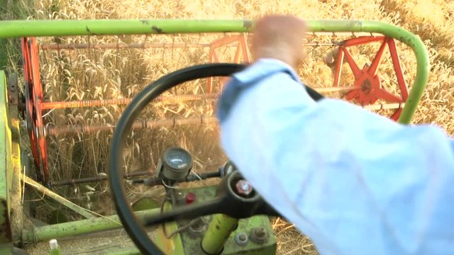 Man harvesting crop driving combine. Close up, hands and rudder.