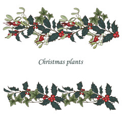 Fototapeta premium Composition of Christmas plants, poinsettia, Holly, cones, ivy and mistletoe, vector illustration