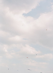 Kites