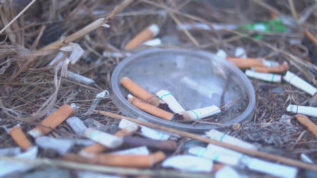 Discarded cigarette butts on a patch of rough ground with dry grass.  Plastic take-out container lid.  Slow pan right to left.