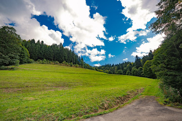 Fototapeta premium Dirt track through a green alpine valley