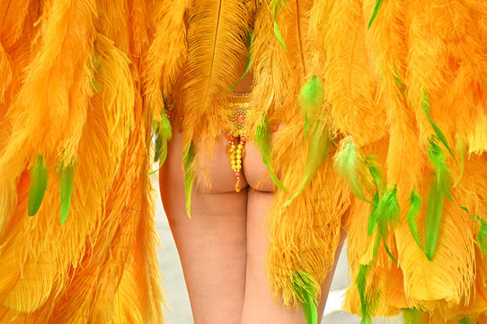 サンバダンサー