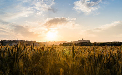 Sunset as seen from a wheat field with the Gozo Citadel in the background, Malta