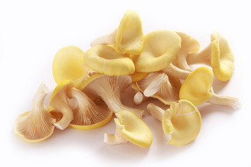 preparing fresh oyster mushrooms