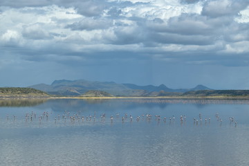 Beautiful reflection at Lake Magadi, Rift Valley, Kenya