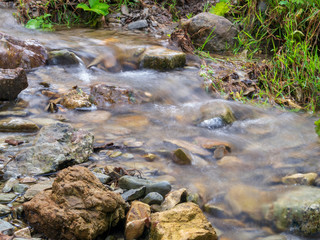 wild water through the forest land scape with long exposure and polfilter