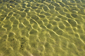 Green water