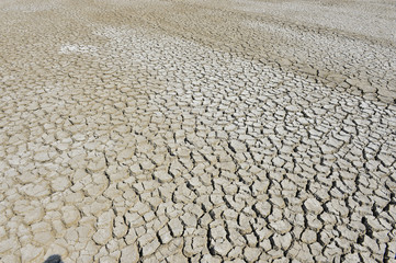 The parched soil