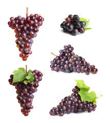 Set with juicy ripe grapes on white background