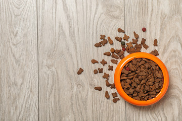 Bowl with food for cat or dog on wooden background. Pet care