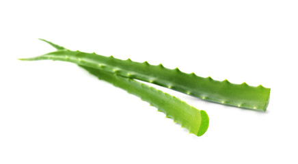 Obraz premium Aloe vera leaves on white background