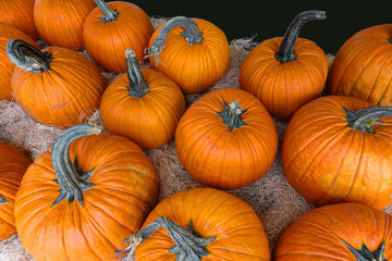 Interesting aerial view of pumpkins on display for Halloween.