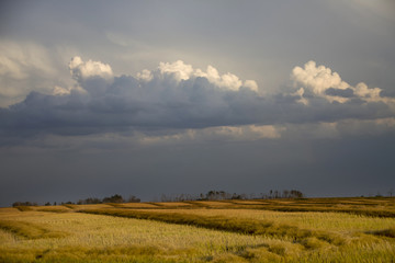Fototapeta premium Prairie Storm Clouds