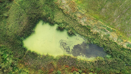 Small pond from the drone