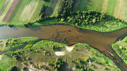 Natural river from the drone