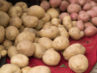 Idaho potatoes 
