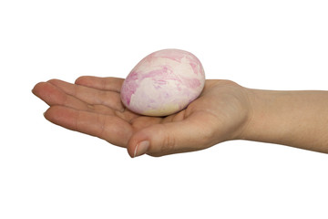 Female hand holds a brown chicken egg in isolation on a white background, with clipping path