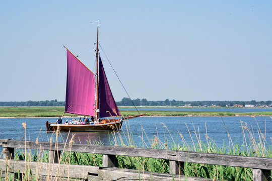 Traditional northern German fishing boat with purple sails carrying a group of tourists near Zingst