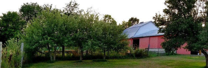 Classic red barn at SweetHaven Homestead