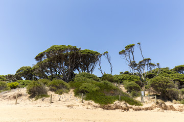 Red Rocks Beach on a sunny day, Phillip Island, Victoria, Australia