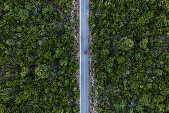 Aerial view of a red car that runs along a road flanked by a green forest.