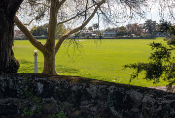 Fototapeta premium Stunning New Zealand sport field