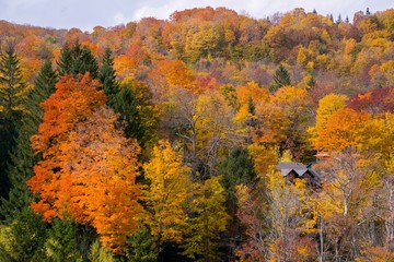 Fototapeta premium Fall Color in Vermont