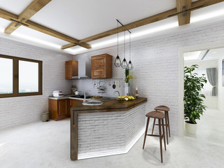 European retro kitchen design