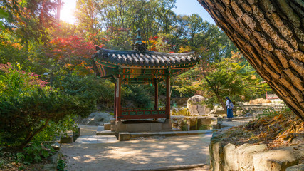 Autumn changdeokgung palace