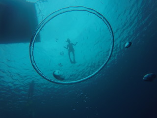 Bubbles1