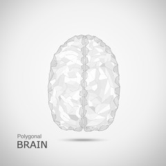 polygonal brain with connection line