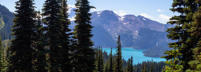 Beautiful panoramic landscape view during a vibrant sunny summer day. Taken in Garibaldi Provincial Park, located near Whister and Squamish, North of Vancouver, BC, Canada.