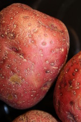 red potatoes